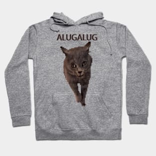 Alugalug Meme Cat 8bit Pixel Art Hoodie